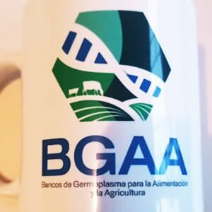 Mugs 11 onzas blanco total